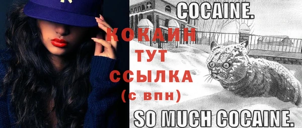 прущие крисы Нефтекумск