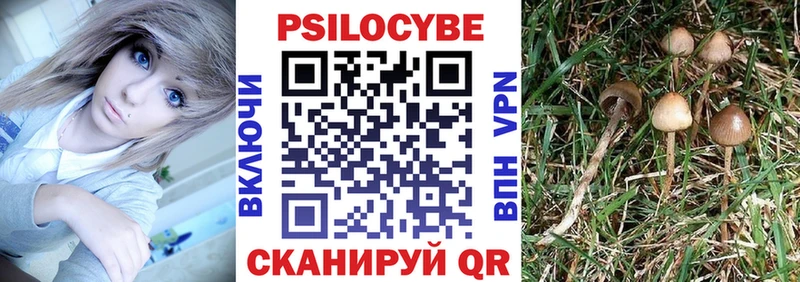 Псилоцибиновые грибы Magic Shrooms  купить наркоту  Чехов 